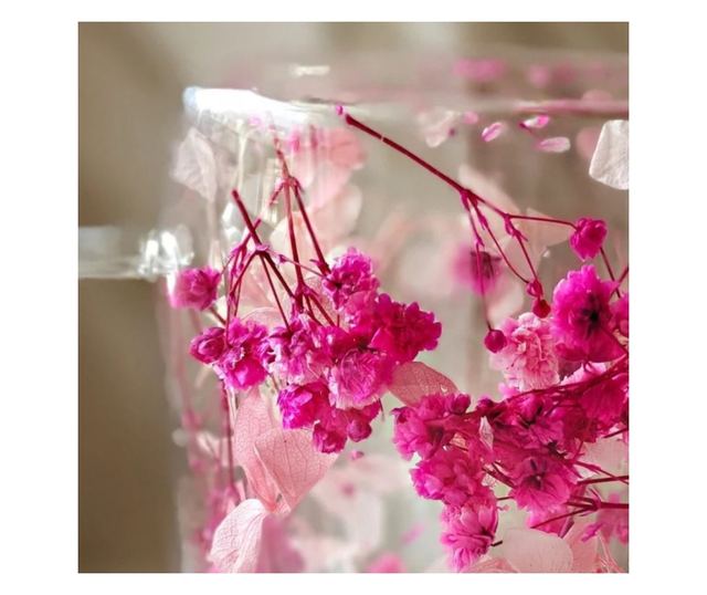 Šalica sa sušenim ružičastim cvjetovima gipsofile, dvostruke stijenke, borosilikatno staklo, 300 ml, SZK149