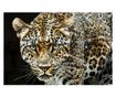 Zidna umjetnost Jaguar Crna 82 cm thumbnail 2