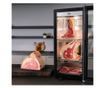 Frigider maturat carne Dry Age, Caso Germany, Master 125, 125 litri, inox thumbnail 3