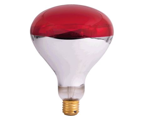 BEC INFRAROSU R125 250W E27 ROSU