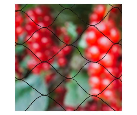 Мрежа за птици Nature Primo, 10x10 м, черна, 6030407