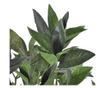 Umjetni lovorov stablo s loncem 120 cm thumbnail 2