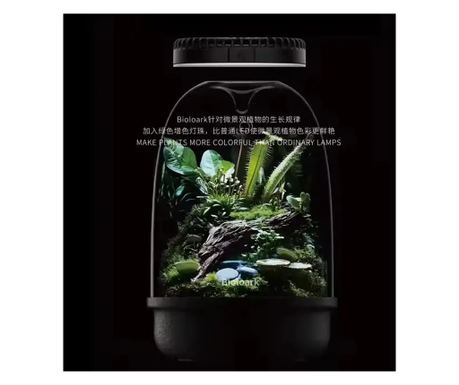 Üvegterrárium MQ-150, 5 l