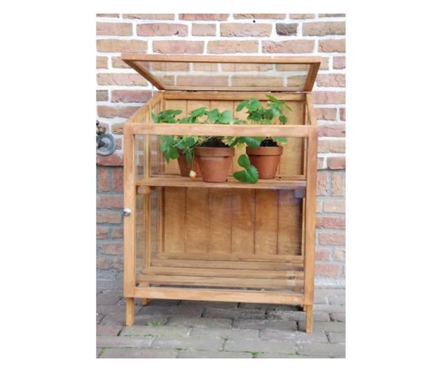 Esschert Design Rastlinjak, trda lesena, majhna, GT32