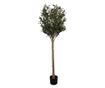 Sztuczne drzewko oliwne w doniczce 50x50x165 cm
