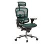 Stolac direktora ERGOHUMAN Plus, mreža tamno zelena, 2D naslon za glavu, lumbalna potpora, 3D podesive ruke