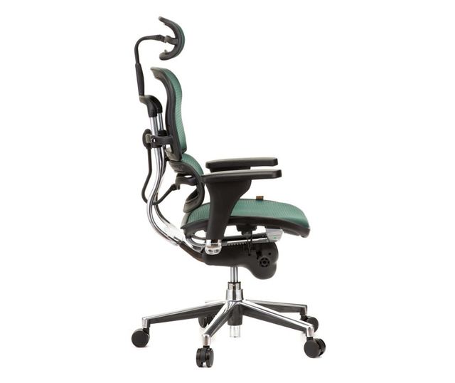 Stolac direktora ERGOHUMAN Plus, mreža tamno zelena, 2D naslon za glavu, lumbalna potpora, 3D podesive ruke