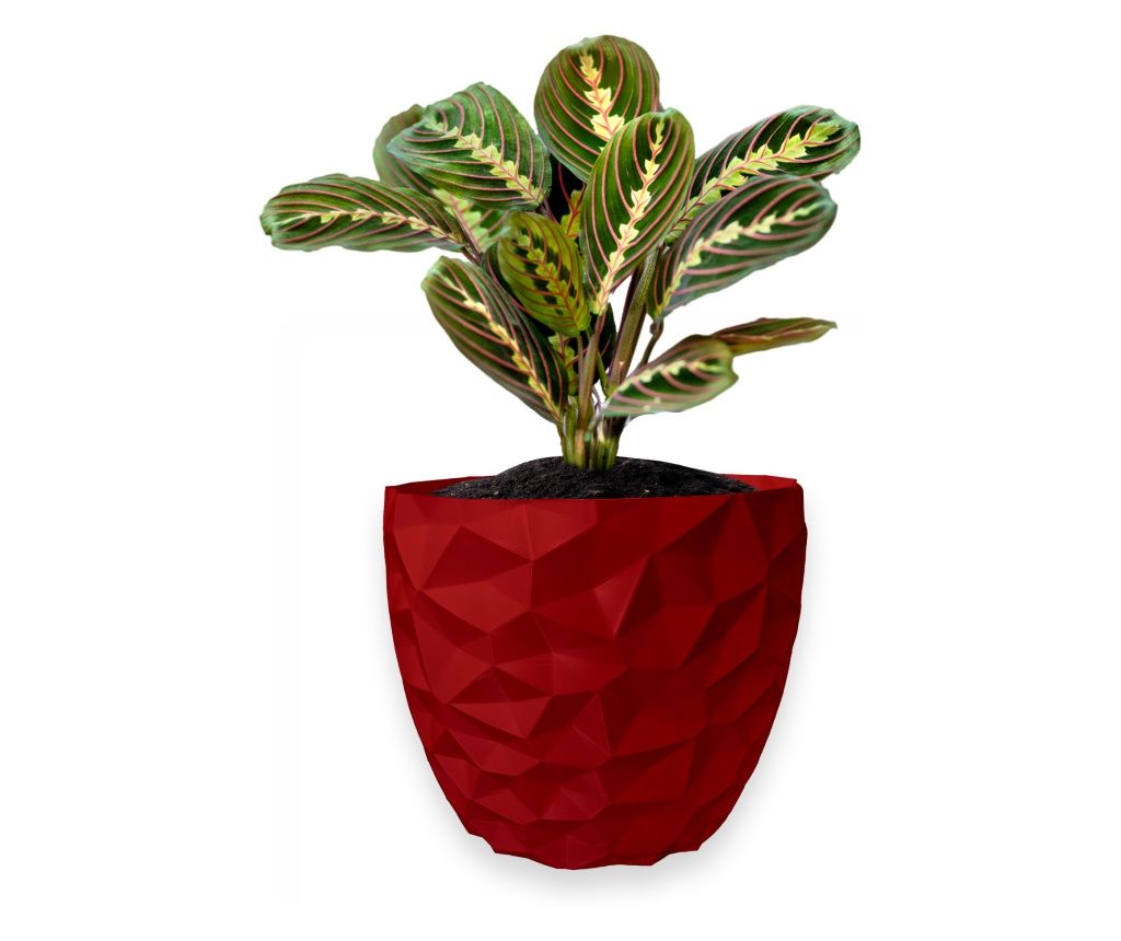 Ghiveci de flori 3d, Dunora , rotund 11 x 10 cm, Culoare Rosu