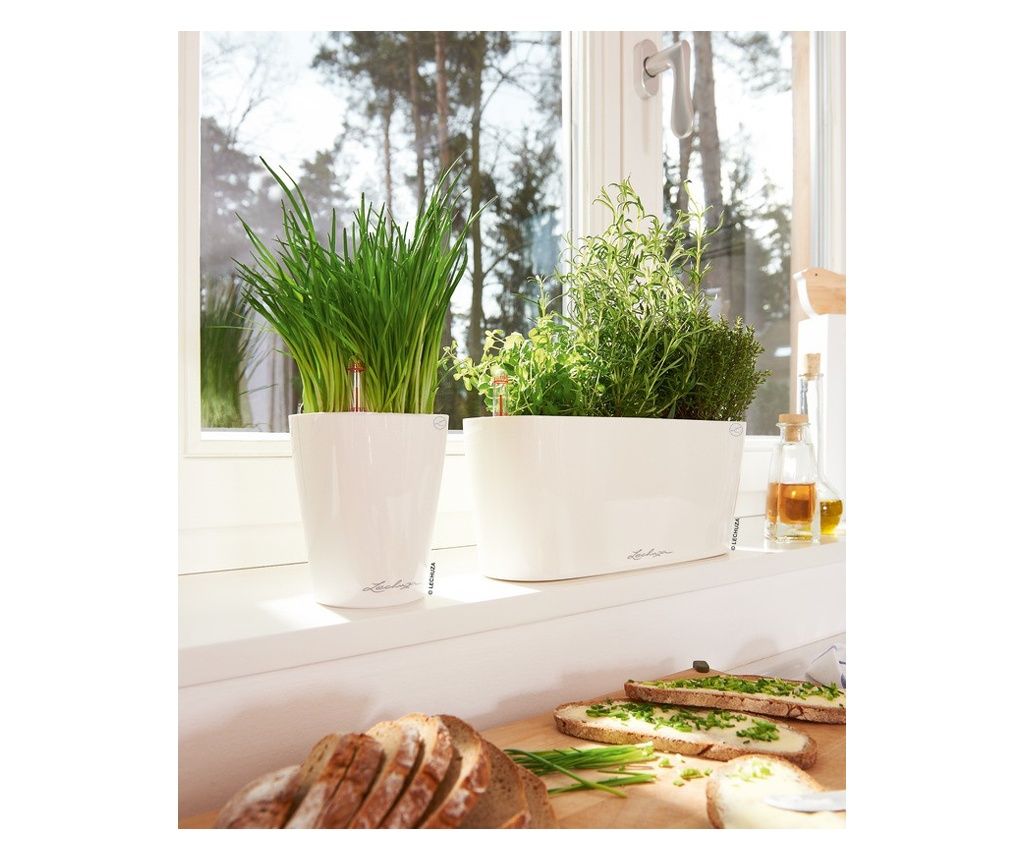 Ghiveci inteligent Lechuza Delta 10 oval 2 l 30 x 11 x 13 cm, Culoare Alb