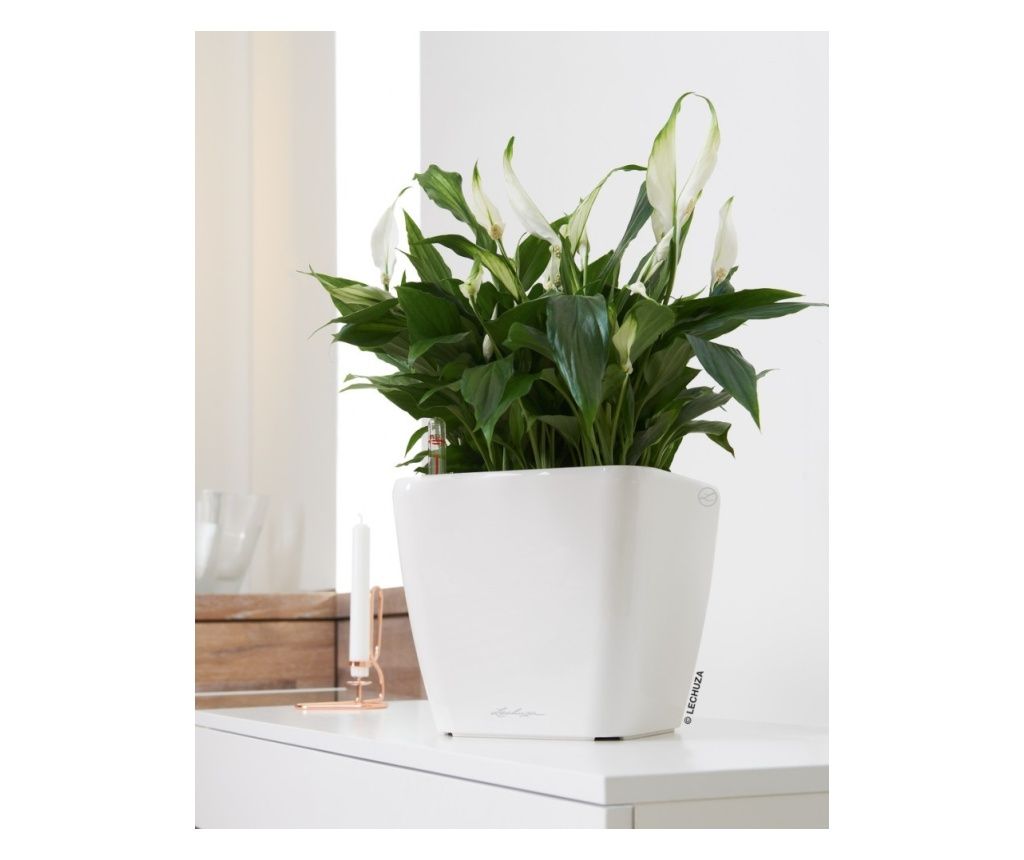 Ghiveci inteligent Lechuza Quadro Premium LS 28 pătrat 9 l 28 x 26 cm, Culoare Alb