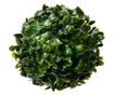 Umjetna zelena kugla Buxus Ø 12 cm thumbnail 1