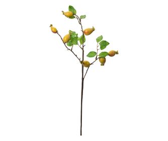 Yellow and Green Forest Fruit Branch 10x8x50 cm