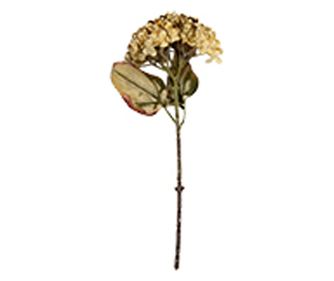 Artificial Yellow-Green Hydrangea 15x15x47 cm