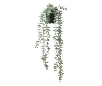 Planta Artificiala Agatatoare Eucalipt (Eucalyptus) Verde 56cm, Ghiveci Negru