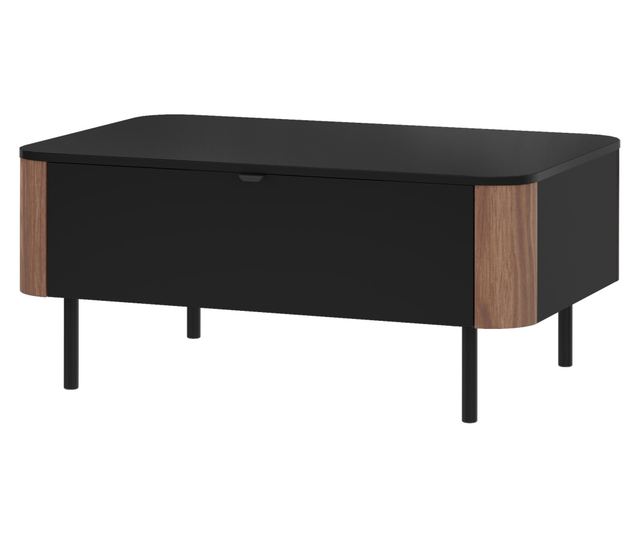 Olamapo 05 Coffee Table