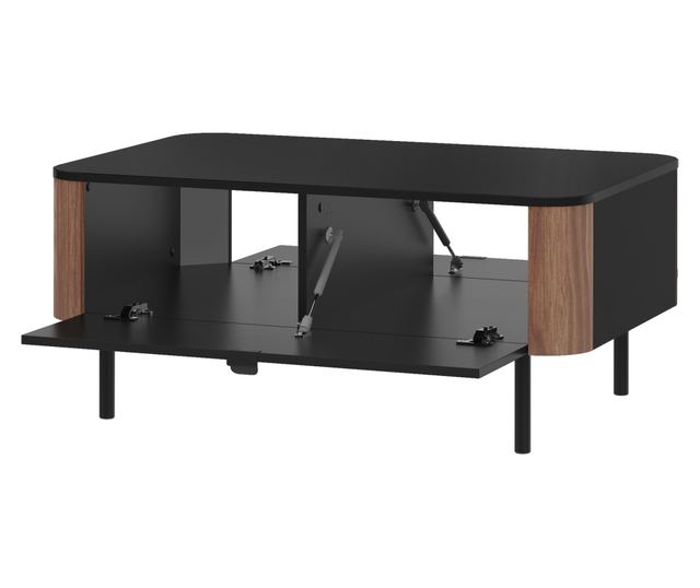 Olamapo 05 Coffee Table