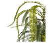 Műnövény FERN LEAF PLANT 105 cm Zöld thumbnail 4