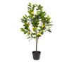 Műnövény LEMON TREE 105 cm Zöld thumbnail 2