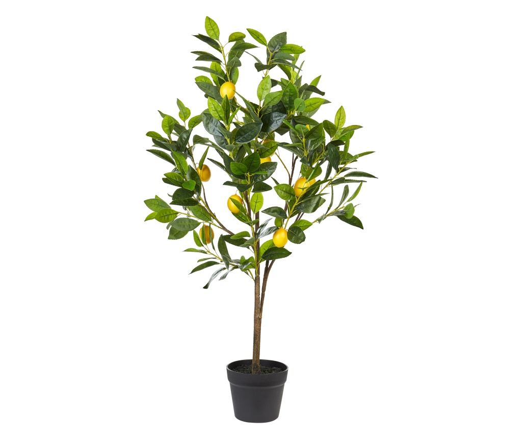 Műnövény LEMON TREE 105 cm Zöld - 2