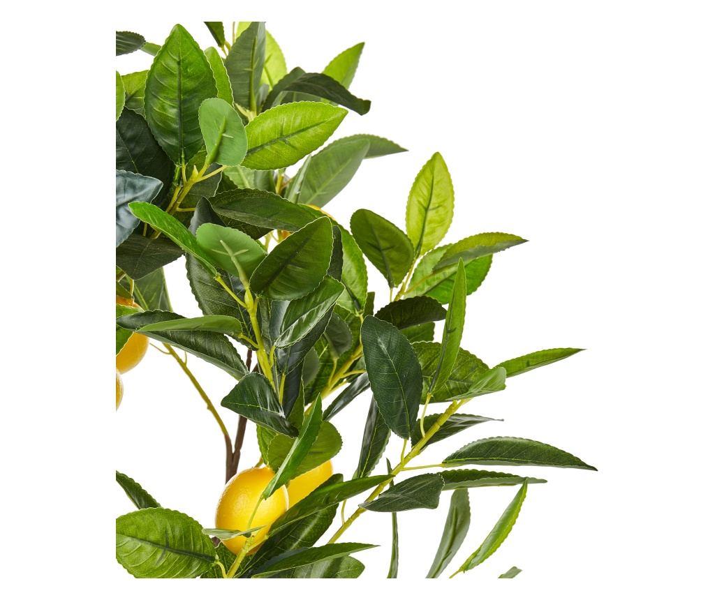 Műnövény LEMON TREE 105 cm Zöld - 4