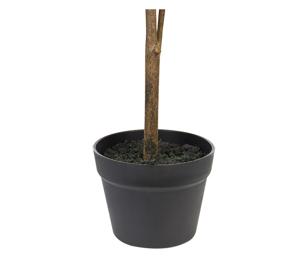 Műnövény LEMON TREE 105 cm Zöld - 5