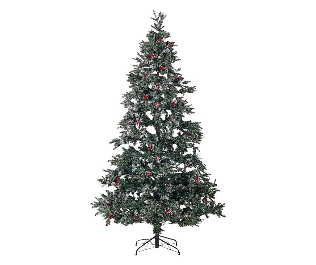 Karácsonyfa DENALI 240 cm Zöld - 2