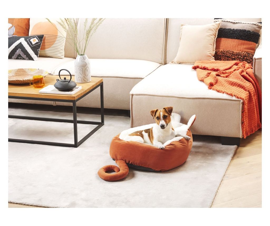 Állatkosár HASSA Bársony Narancssárga - 1