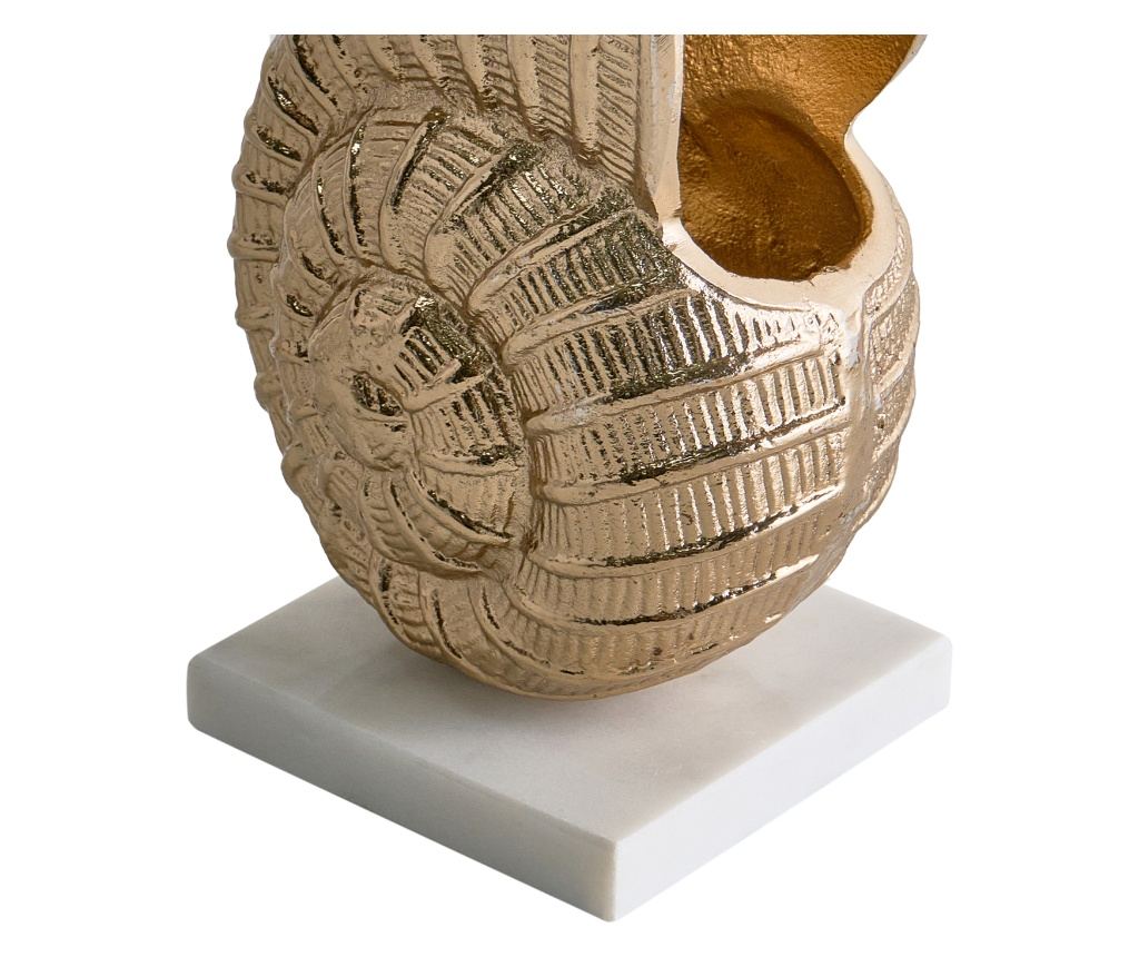 Dekor kiegészítő Kagylóhéj TULJE Fém Arany - 7