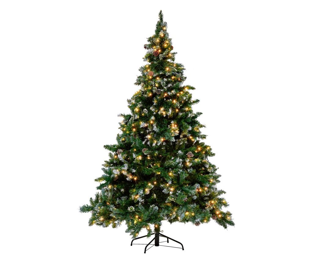 Karácsonyfa LED PALOMAR 180 cm Sötétzöld - 3