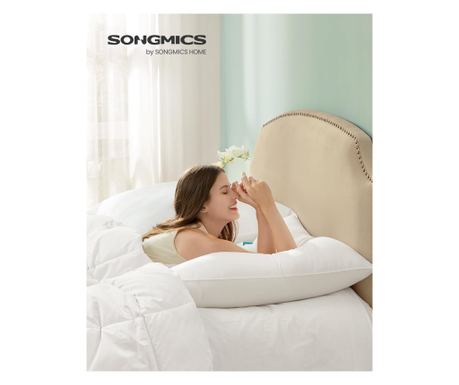 SONGMICS Set od 2 mekana jastuka, 80x80 cm, 1500 g punjenja, bijeli