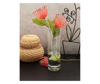 Vază 237, Transparentă