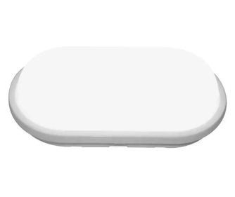 Leonis LED vanjska zidna svjetiljka, 20W, bijela, 6000K