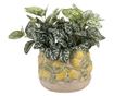 Lemon Multicolor Ceramic Flower Pot Ø 19x15 cm thumbnail 2