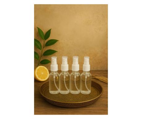 Set steklenih steklenic (4 kosi) 654, prozorna
