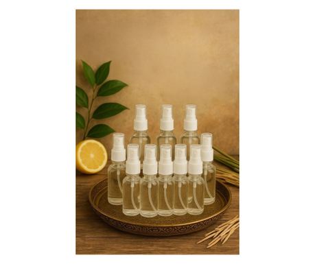 Set steklenih steklenic (10 kosov) 661, prozorna