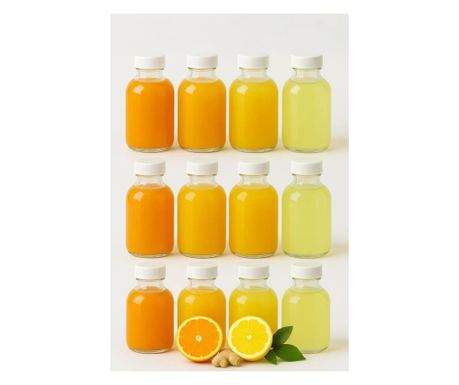 Set de Sticle din Sticlă (12 Bucăți) 814, Transparent, Alb