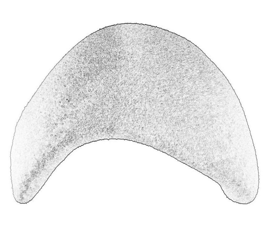 Set zidnih lampi (2 komada) 926, betonsko siva - 8