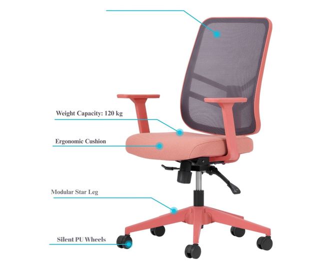 Pisarniški stol 915, losos