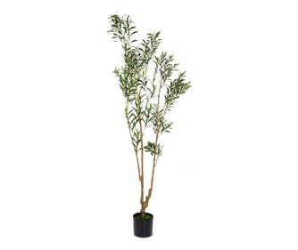 Τεχνητό Δέντρο Ελιάς σε Γλάστρα 19,5 x 210 εκ.