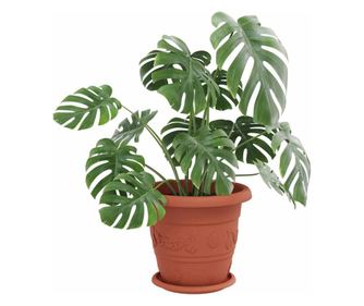 vidaXL Tavă rotundă pentru flori 6 pcs Roșu cărămidă Ø 14 x 2 cm