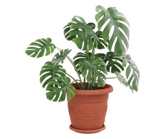 vidaXL Tavă rotundă pentru flori 6 pcs Roșu cărămidă Ø 14 x 2 cm