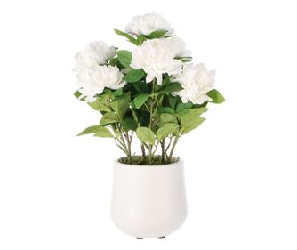 Művirág cserépben, fehér és zöld, 23 x 67 cm