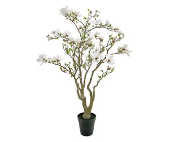 Τεχνητή Μανόλια σε Γλάστρα 28 x 205 εκ.