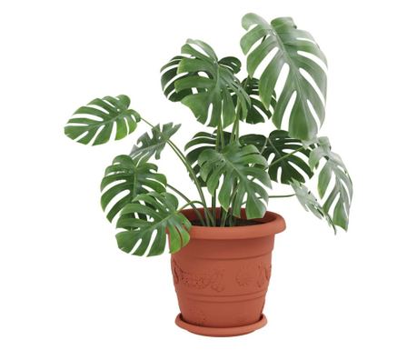 vidaXL Tavă rotundă pentru flori 6 pcs Roșu cărămidă Ø 14 x 2 cm