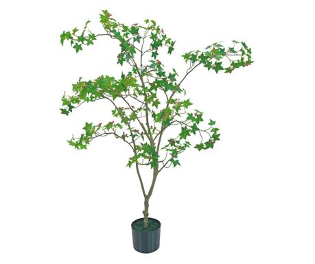 Artar verde in ghiveci 120 cm