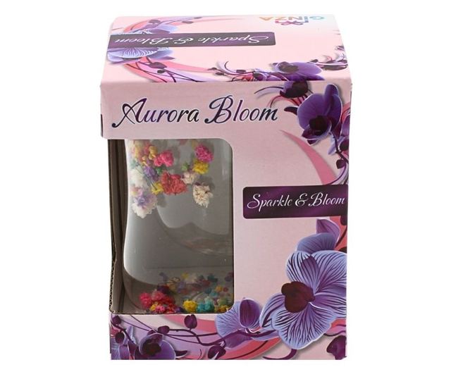 Többszínű szárított virágbetétes, dupla falú boroszilikát üveg pohár, 200 ml, Aurora Bloom