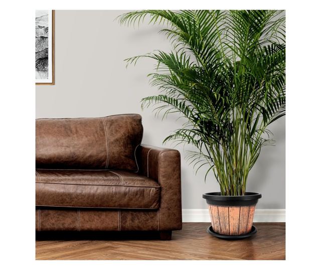 Belle Vous 3 db Hordó alakú virágcserép szett, 23 x 16 cm, Rusztikus dizájn, 8,5 L, Műanyag, vízelvezető lyukakkal és alátéttel,