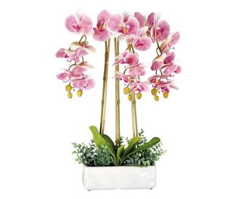 Set 2 umetnih orhidej v loncu 25 x 10 x 62 cm