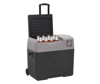 Hladnjak s kotačima i ručkom 40 L crno/sivi polipropilen