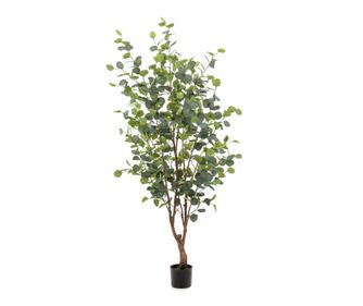 Umetna evkaliptusova drevesa Emerald v loncu, 140 cm